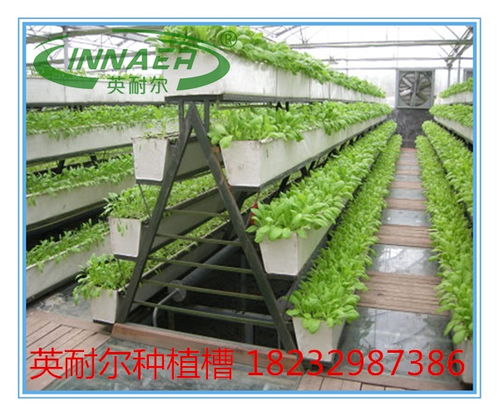 新型草莓種植槽與番茄基質槽 蔬菜專用槽的價格、圖片與批發(fā)指南